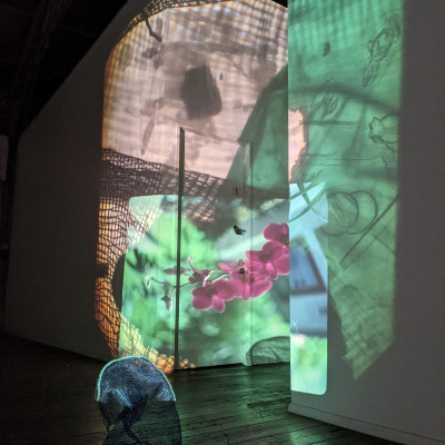 interior view of the show
